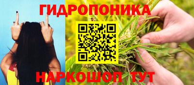 амф Аргун