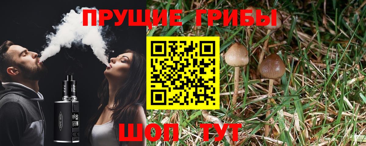 как найти закладки  Вход с VPN  Бугульма  Галлюциногенные грибы Psilocybe 